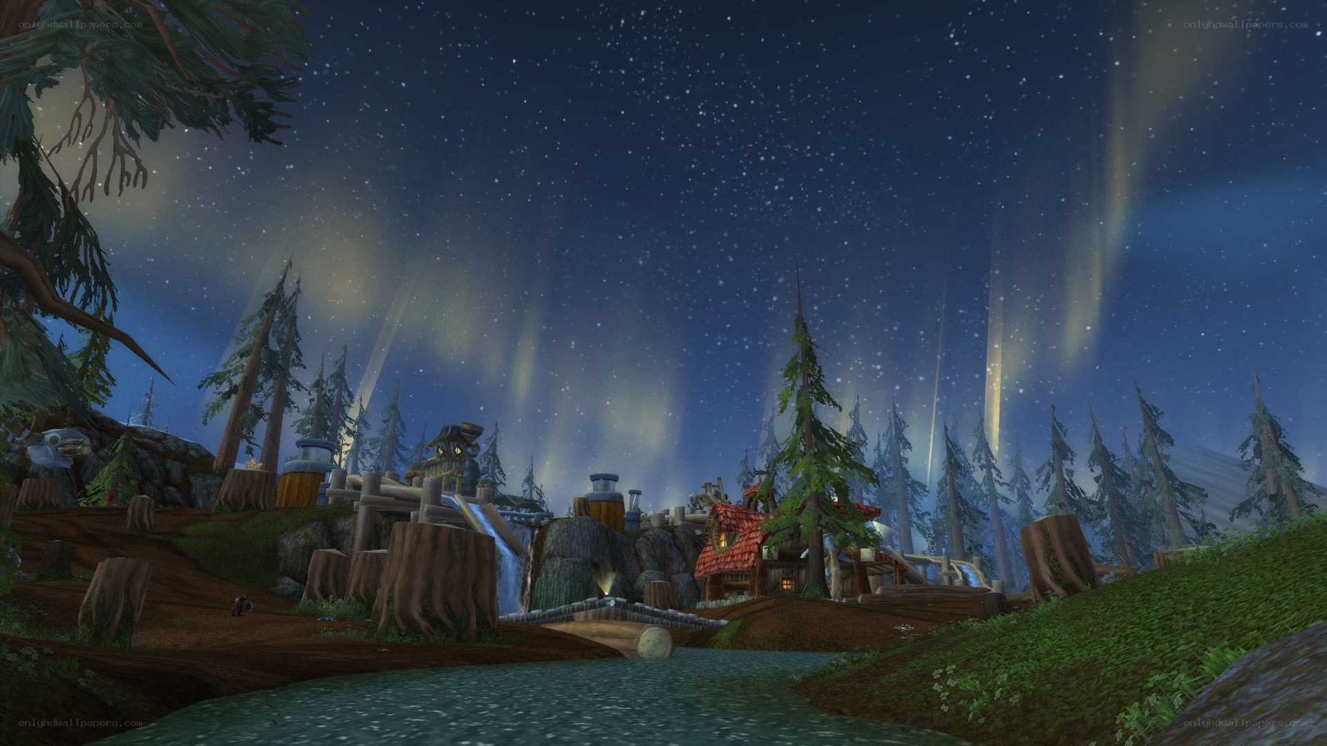 Night sky over a forest village