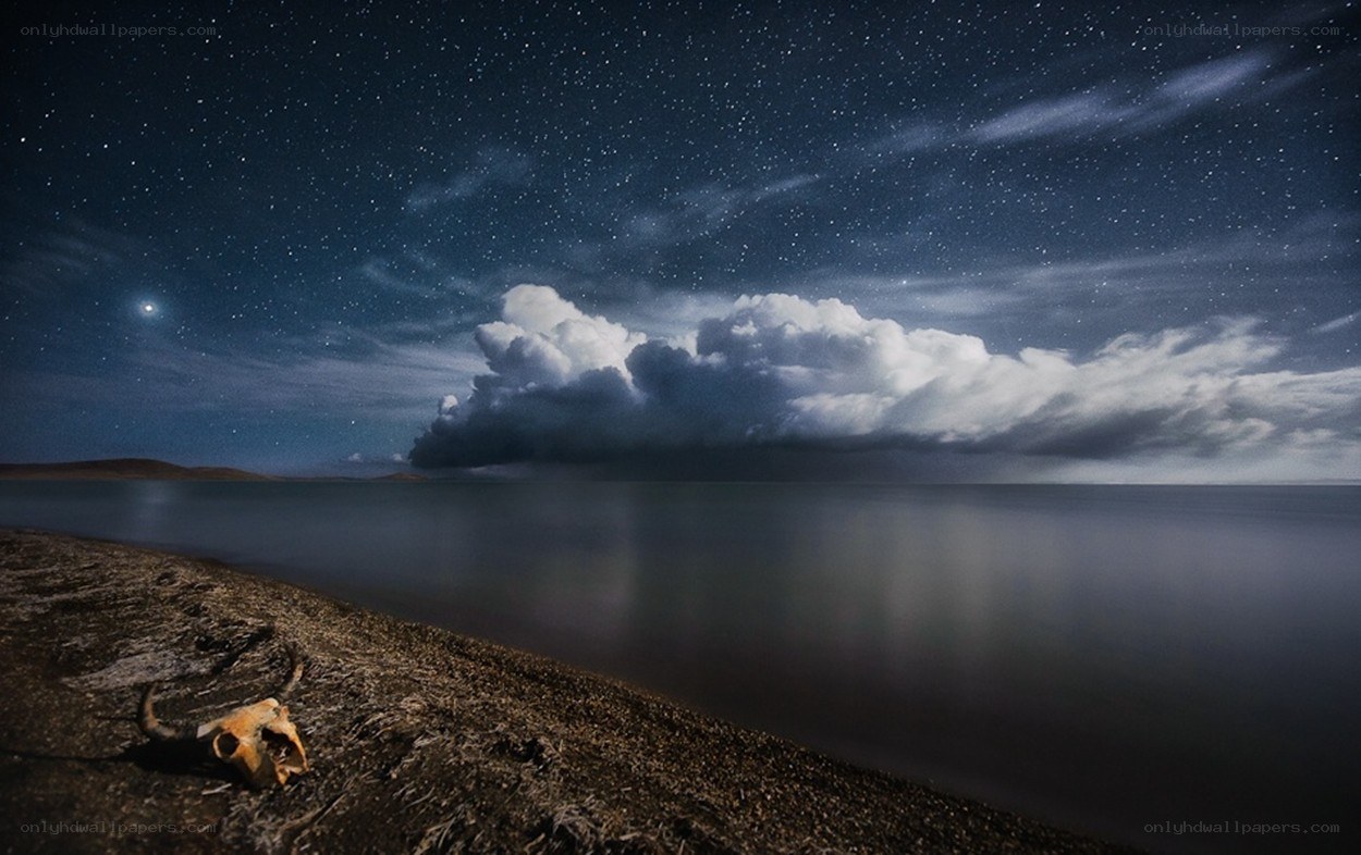 Night sky over a lake with skull