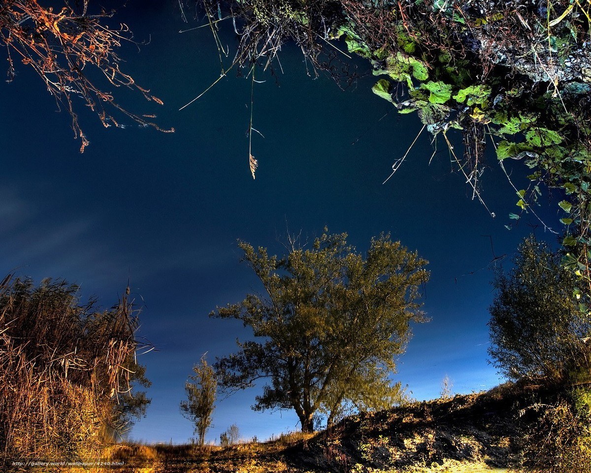 Night sky over a riverbank
