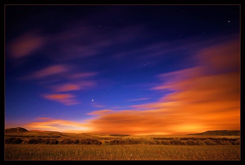 Night Sky over Field