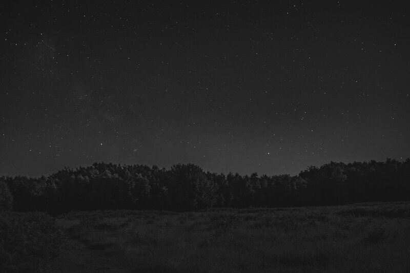 Night Sky over Forest — Black