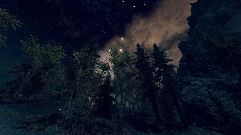 night sky over forest
