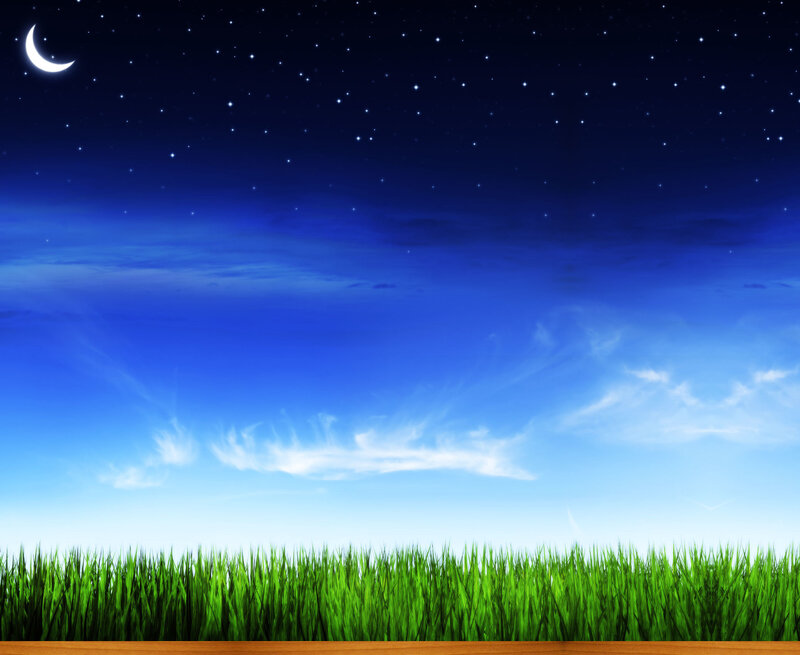 Night sky over grass field