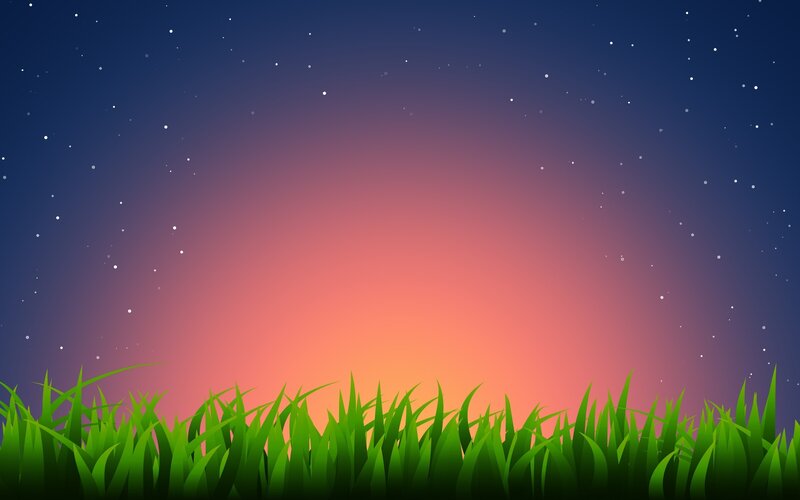 night sky over grass