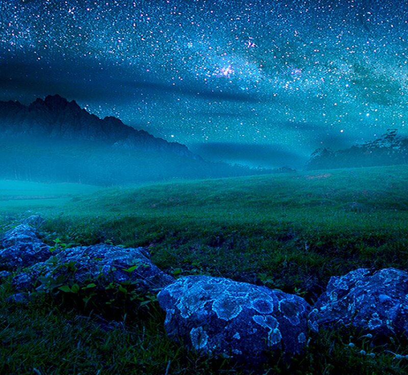 Night Sky over Grassy Field