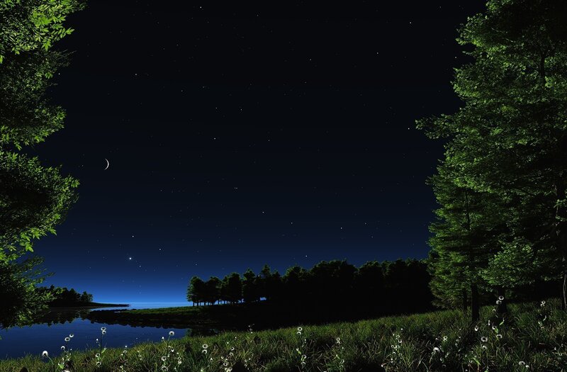 Night Sky over Lake — Black, Serene, Digital Art, Trees