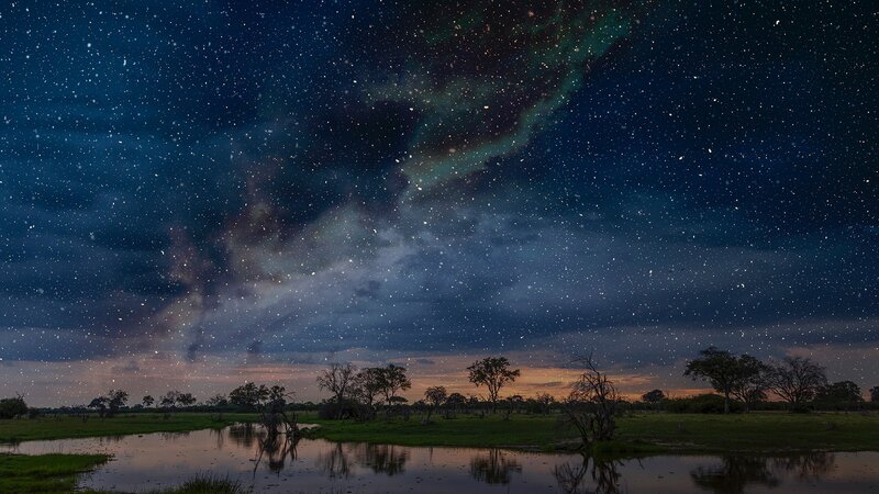 Night Sky over Wetland