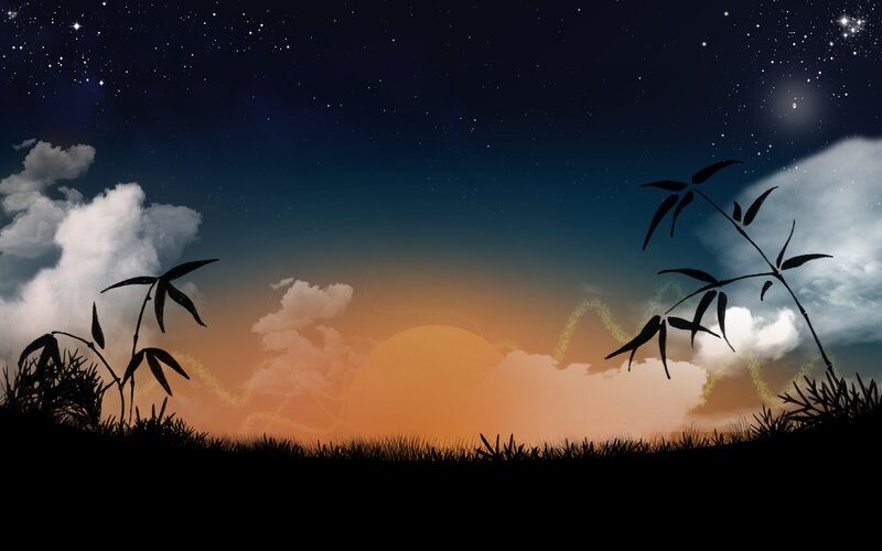 night sky with bamboo