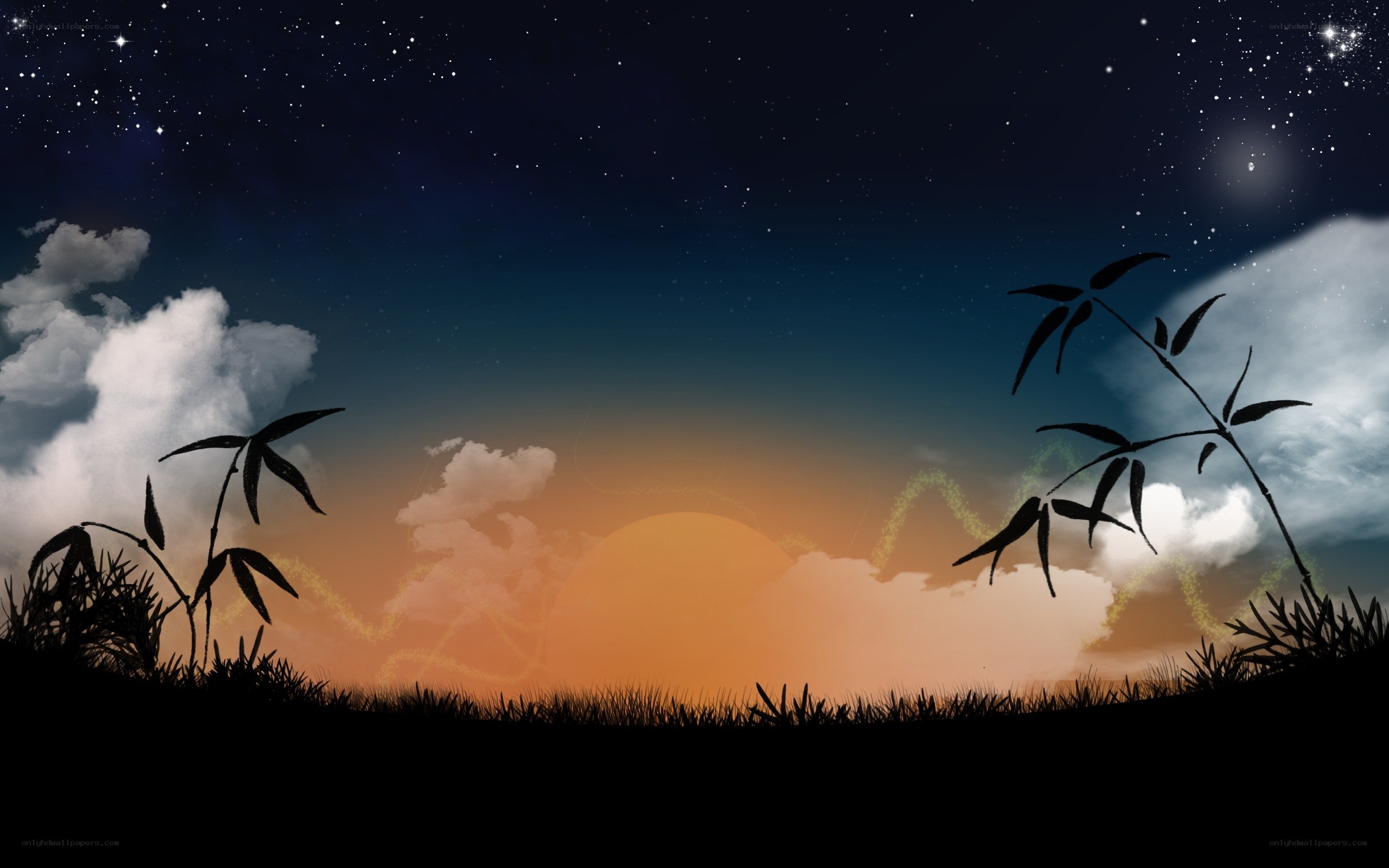 night sky with bamboo