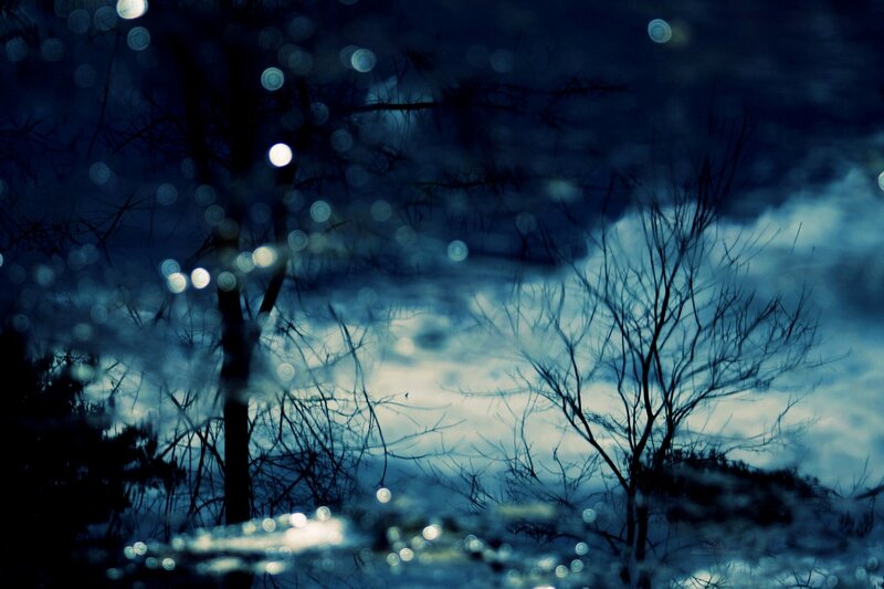 Night sky with bare trees