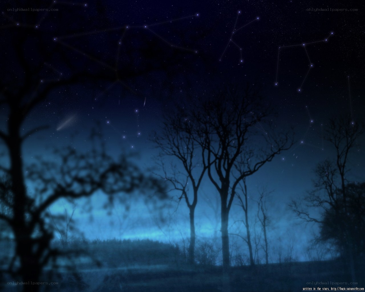 Night sky with constellations