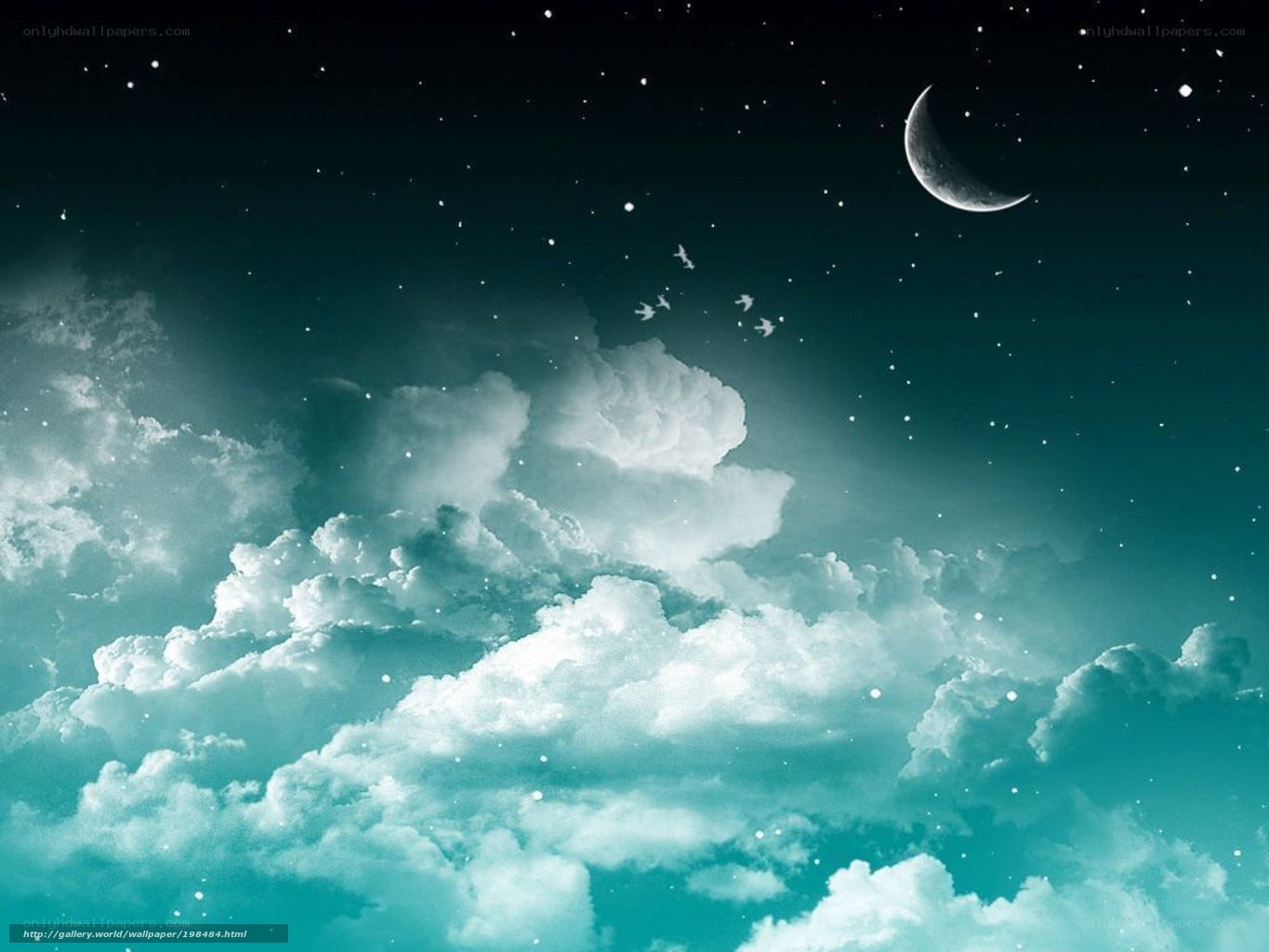 night sky with crescent moon