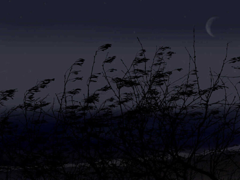 Night sky with crescent moon