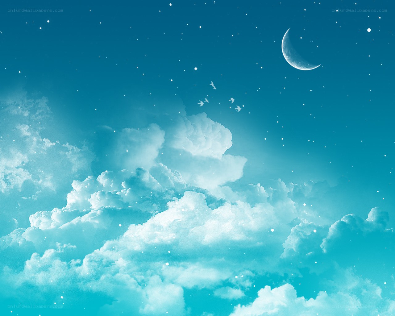 night sky with crescent moon