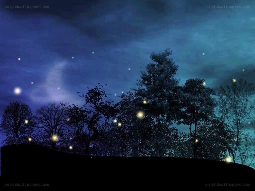 night sky with fireflies