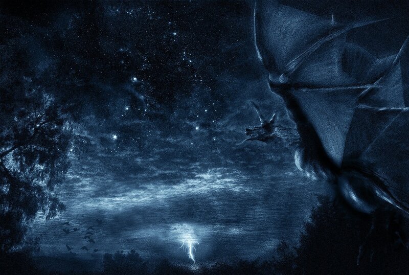 Night sky with flying creatures