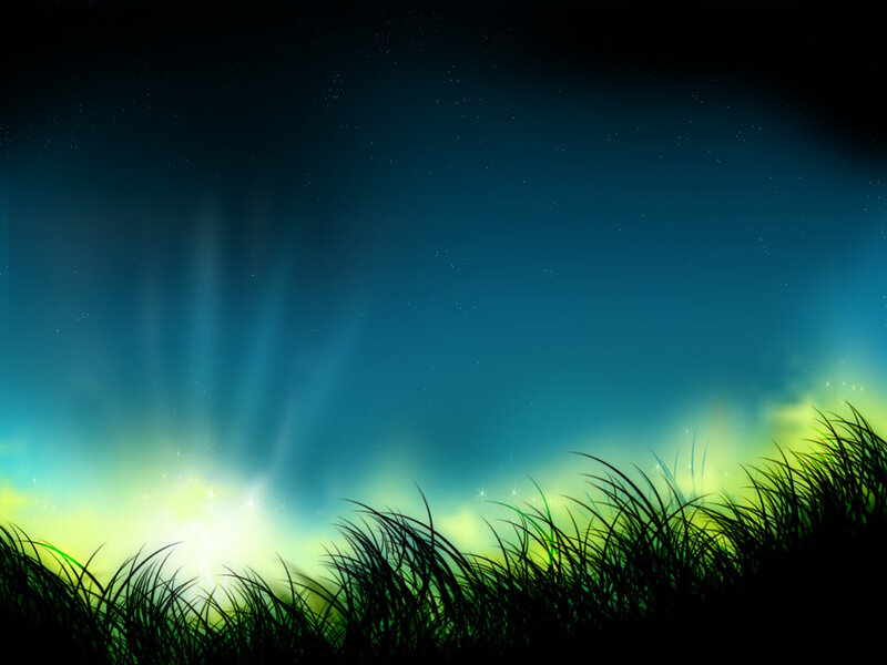 night sky with glowing grass