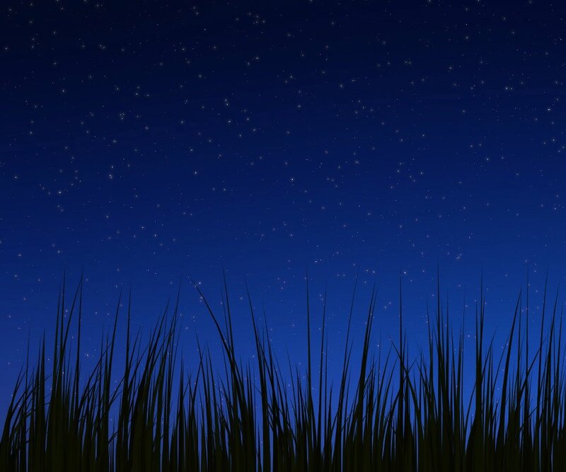 night sky with grass silhouette