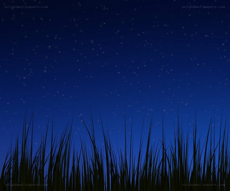 night sky with grass silhouette