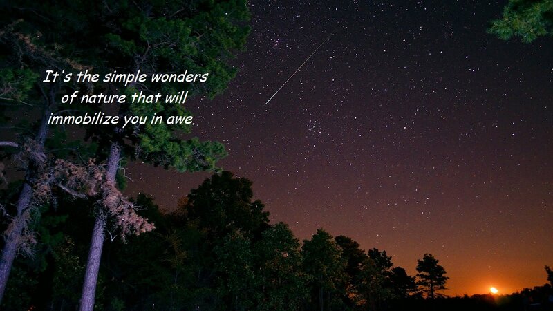 Night Sky with Meteor