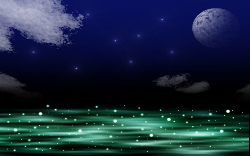 night sky with moon and glowing water