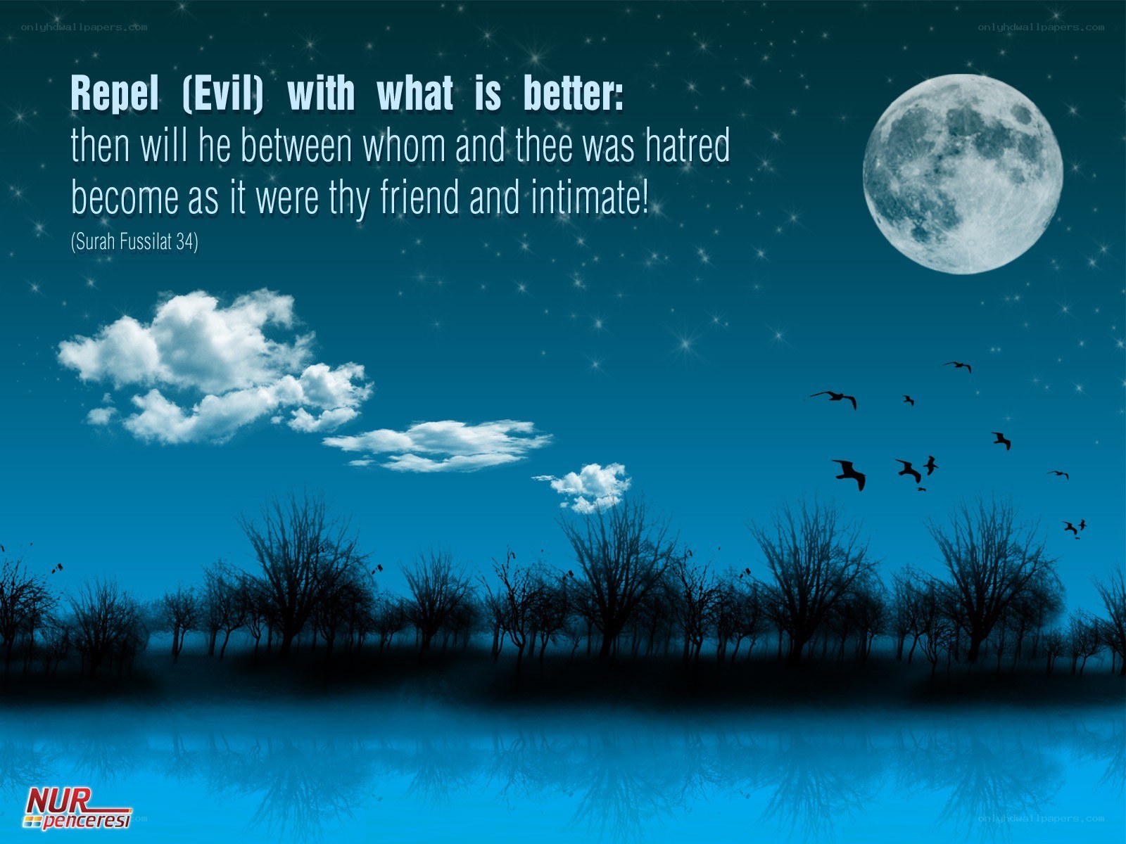 Night sky with moon and quote