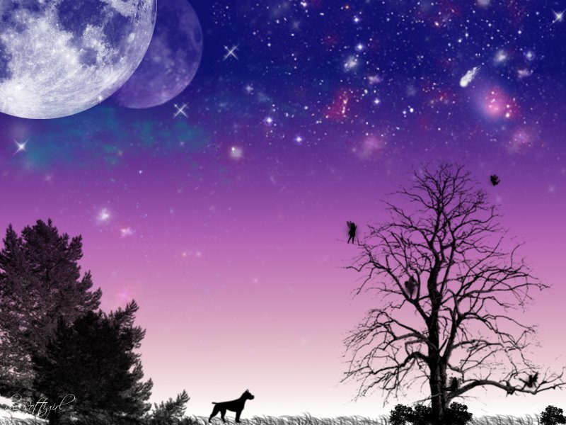 night sky with moon and silhouettes