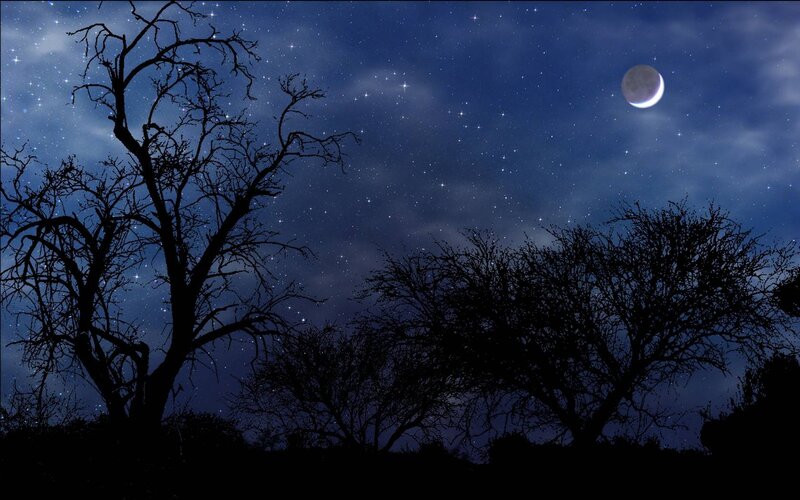 Night sky with moon and stars