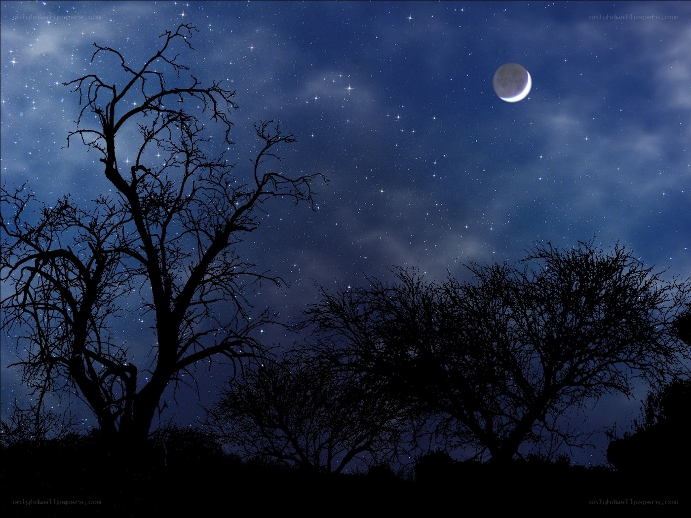 Night sky with moon and trees