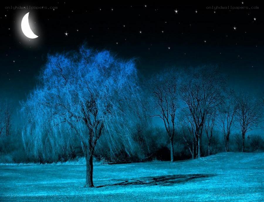 night sky with moon and trees