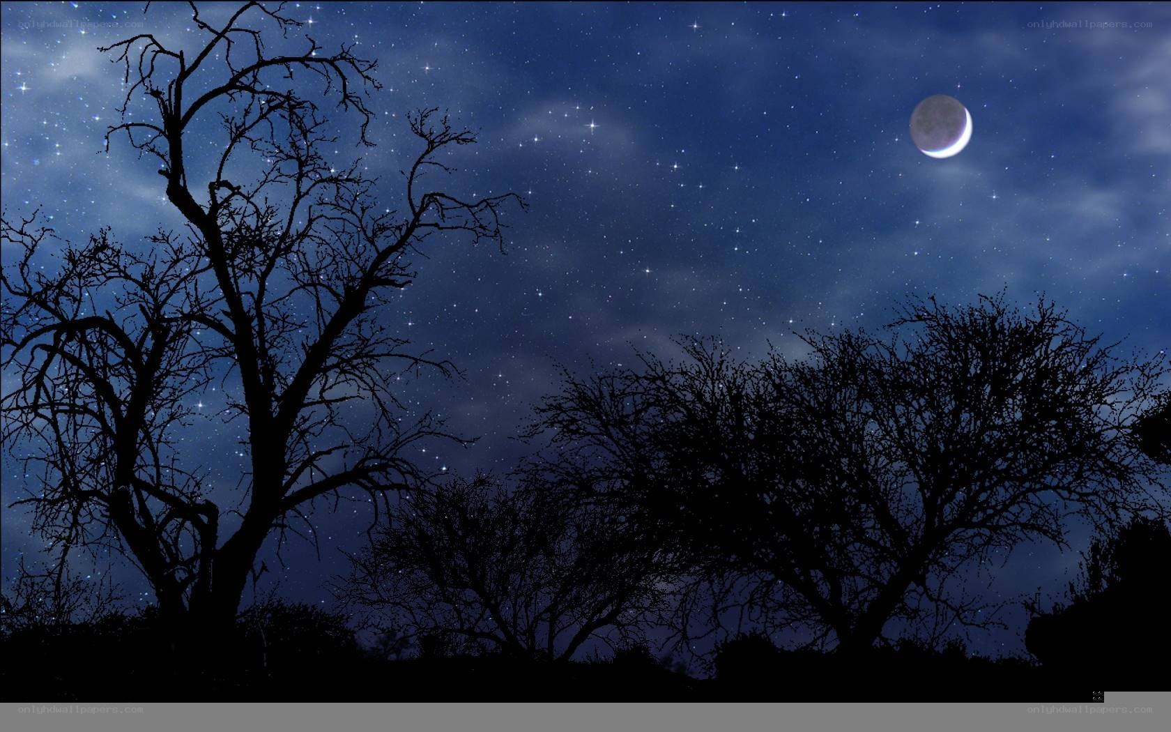 Night sky with moon and trees