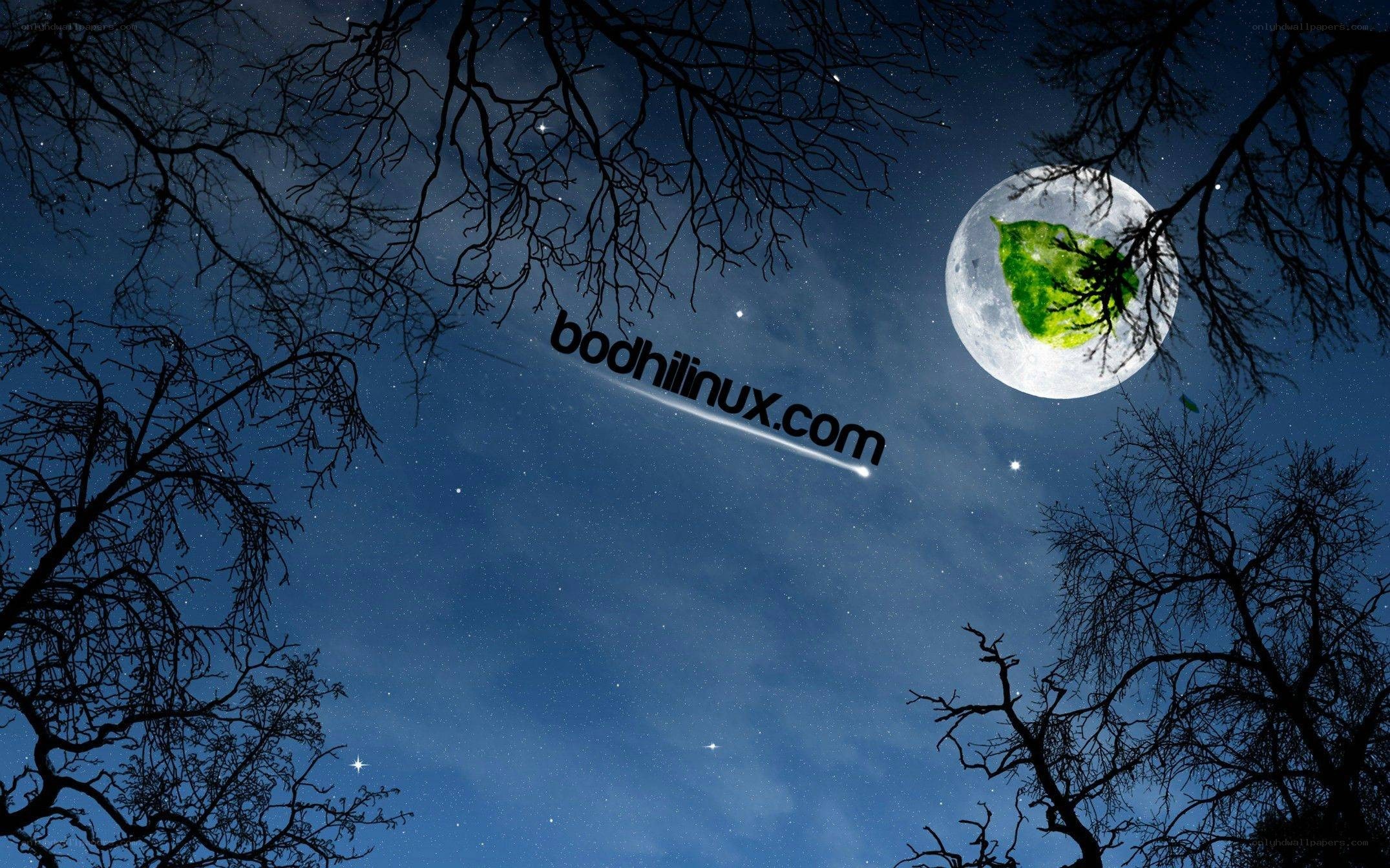 night sky with moon and watermark