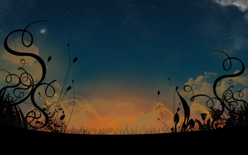 night sky with silhouetted plants