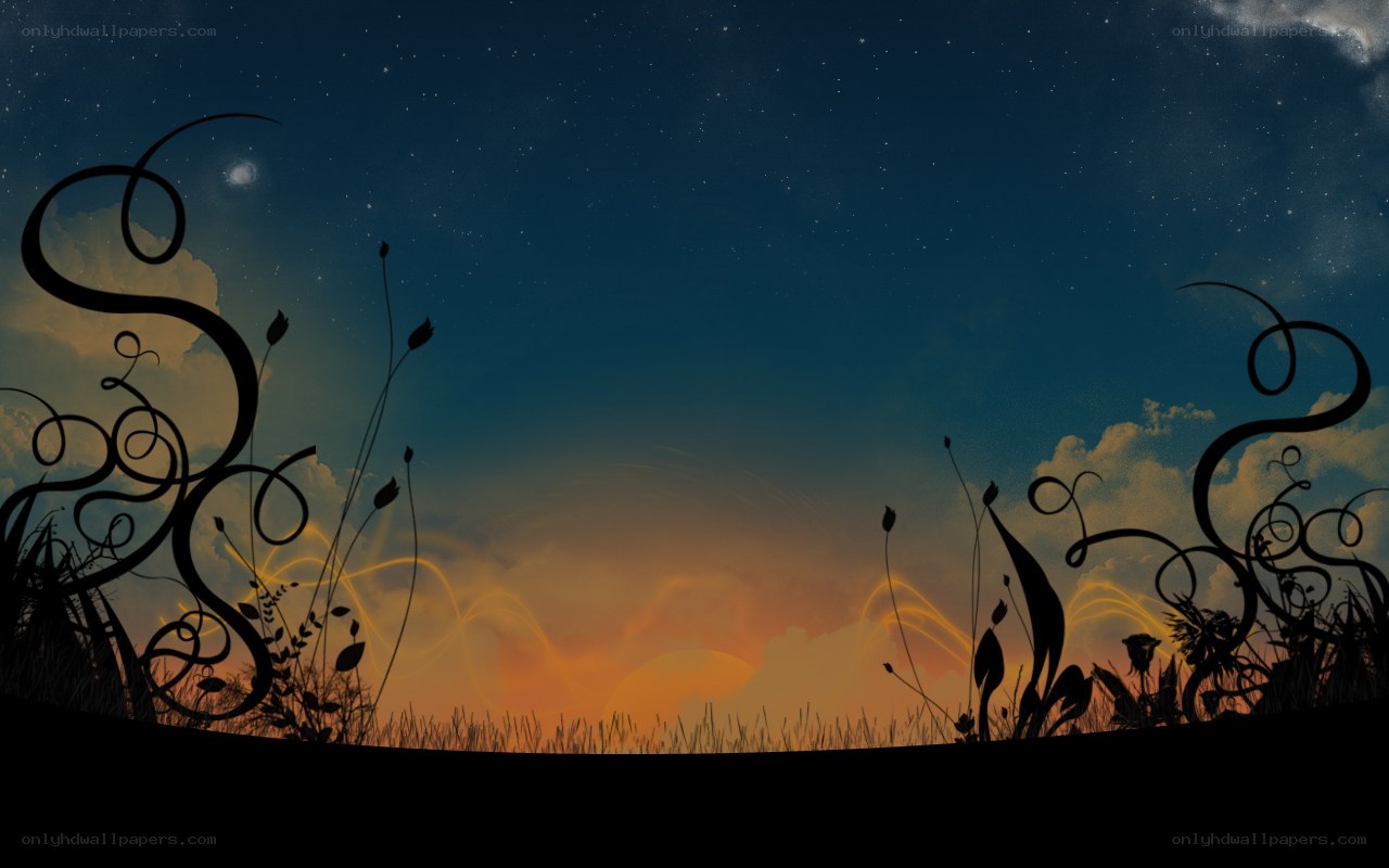 night sky with silhouetted plants