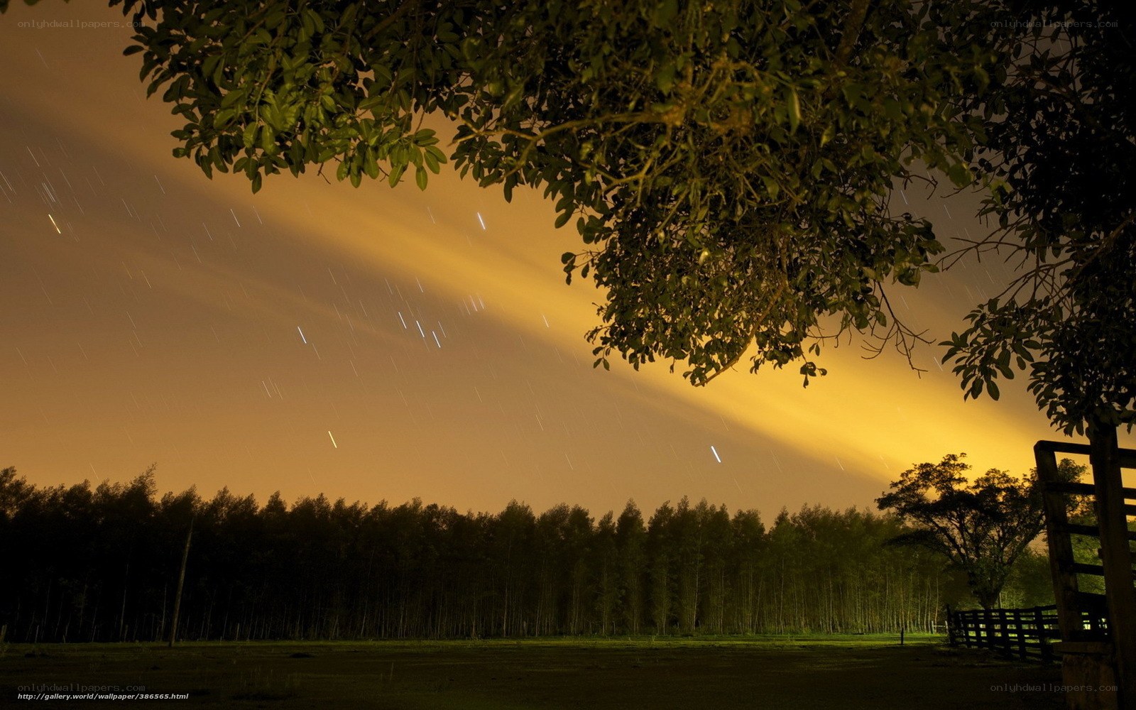 Night sky with star trails
