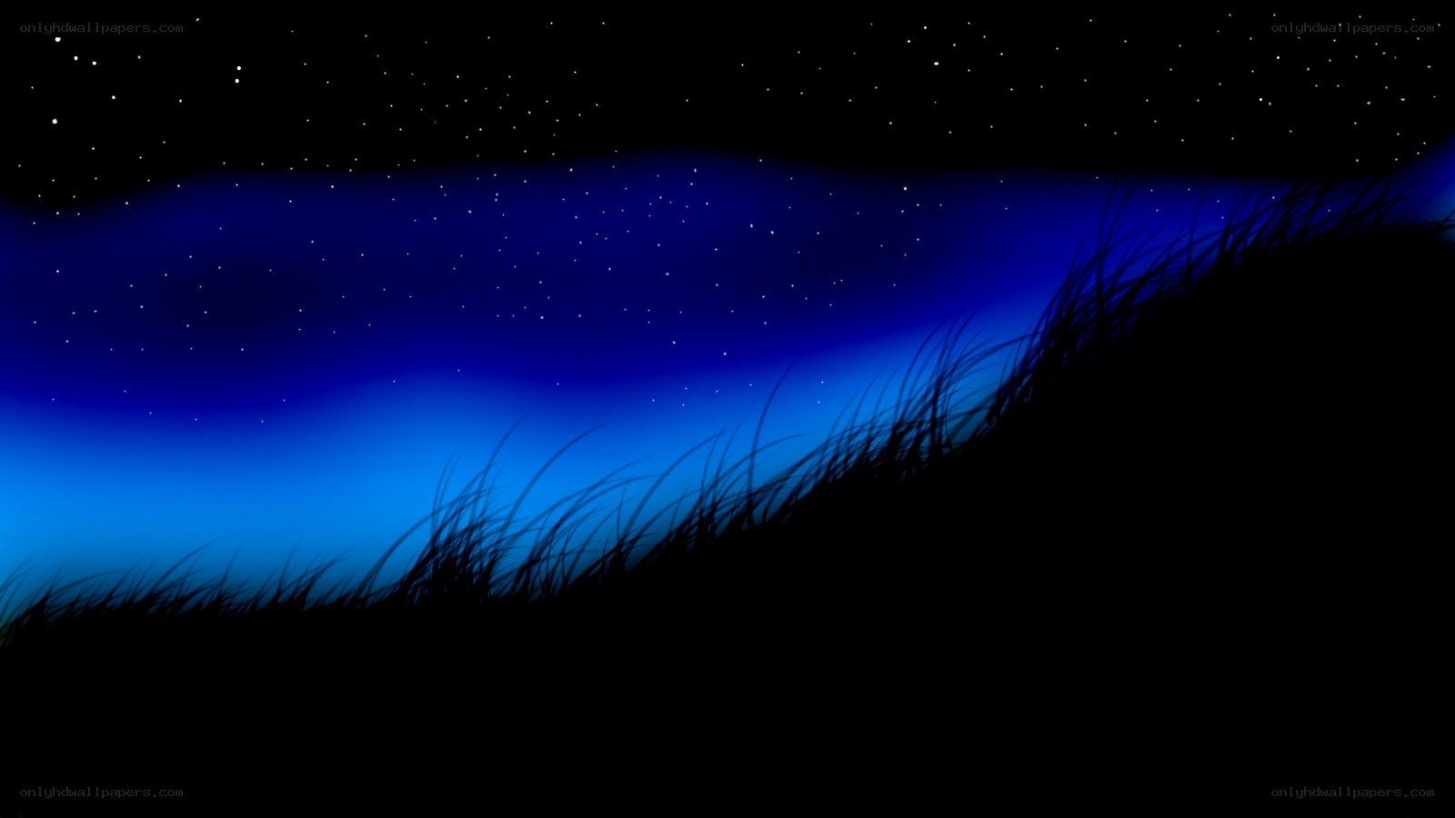 Night sky with stars and grass