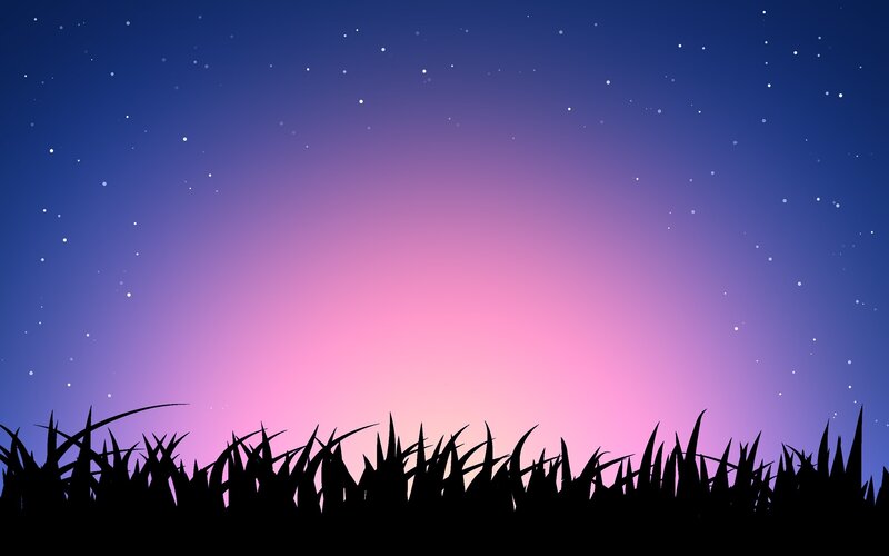 night sky with stars and grass