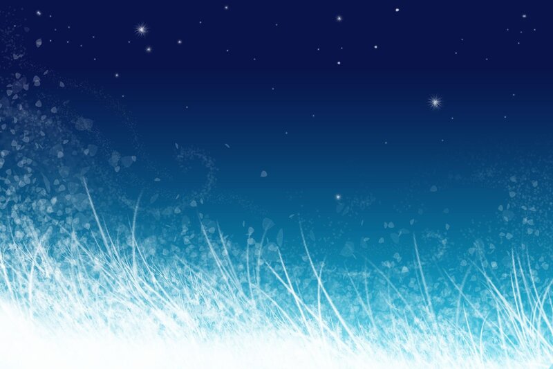 night sky with stars and grass