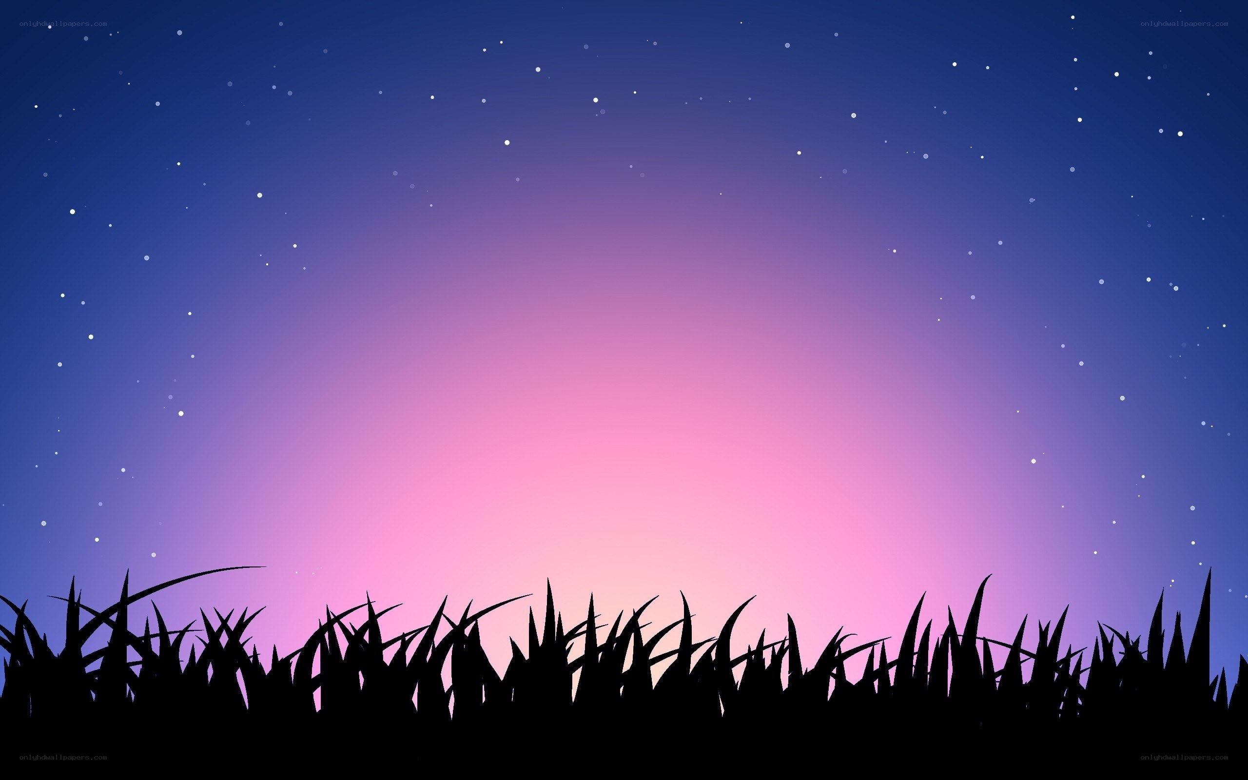 night sky with stars and grass