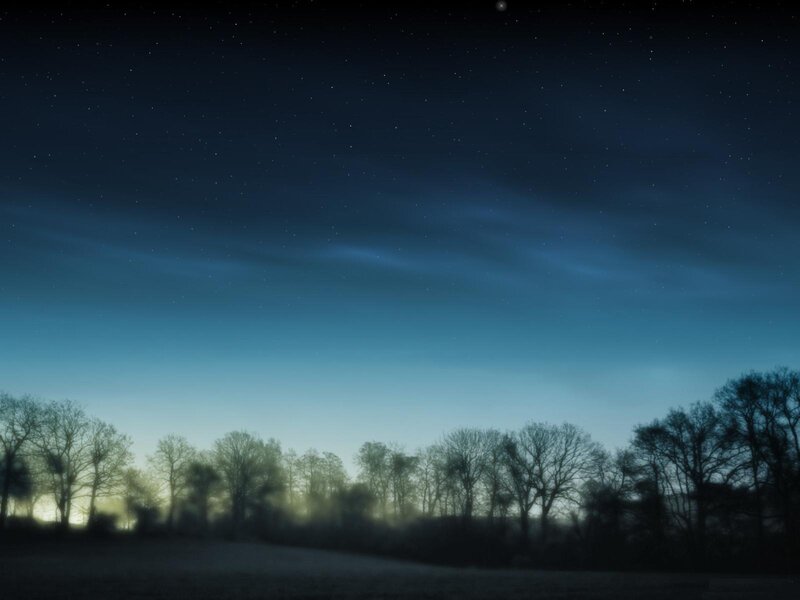 Night sky with stars and trees