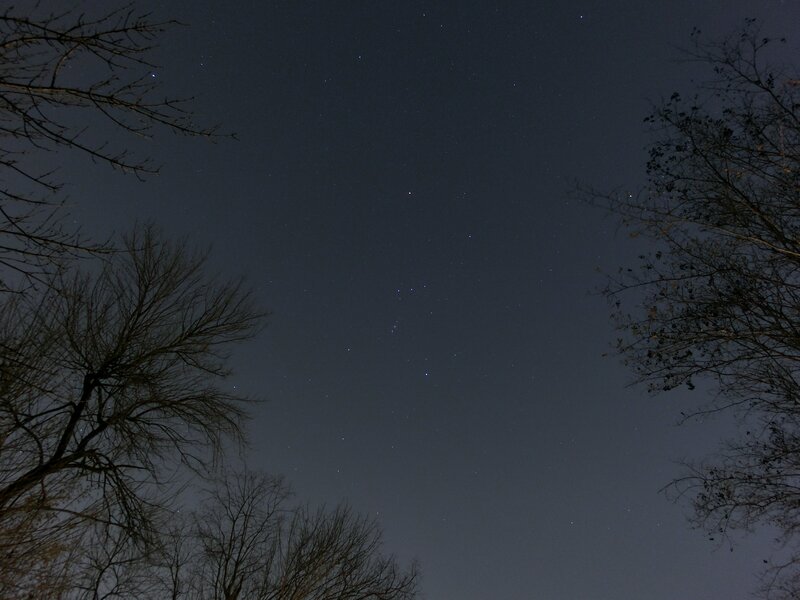 Night sky with stars and trees