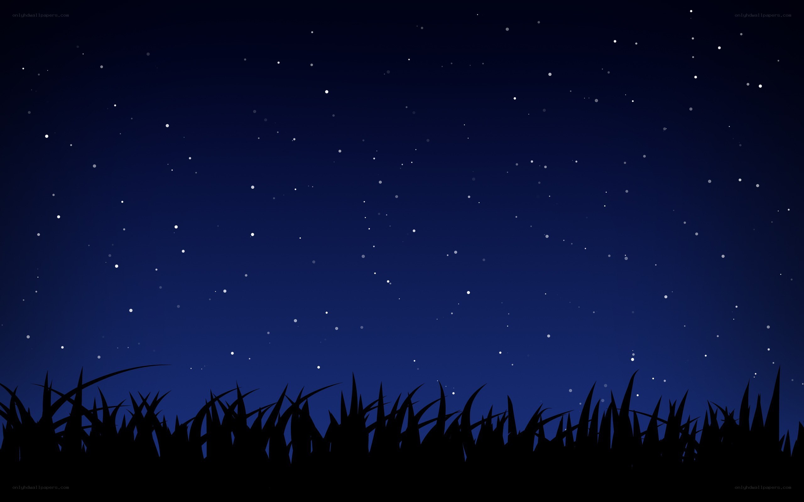 night sky with stars
