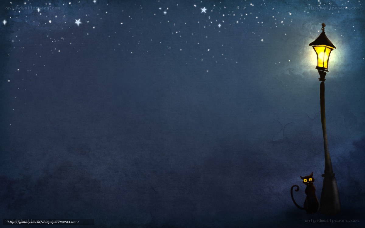 night street lamp with cat