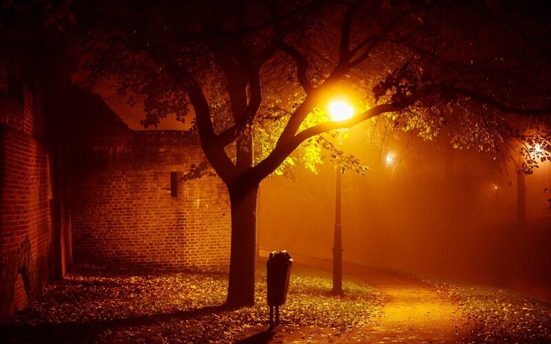 Night street with fog and lamp