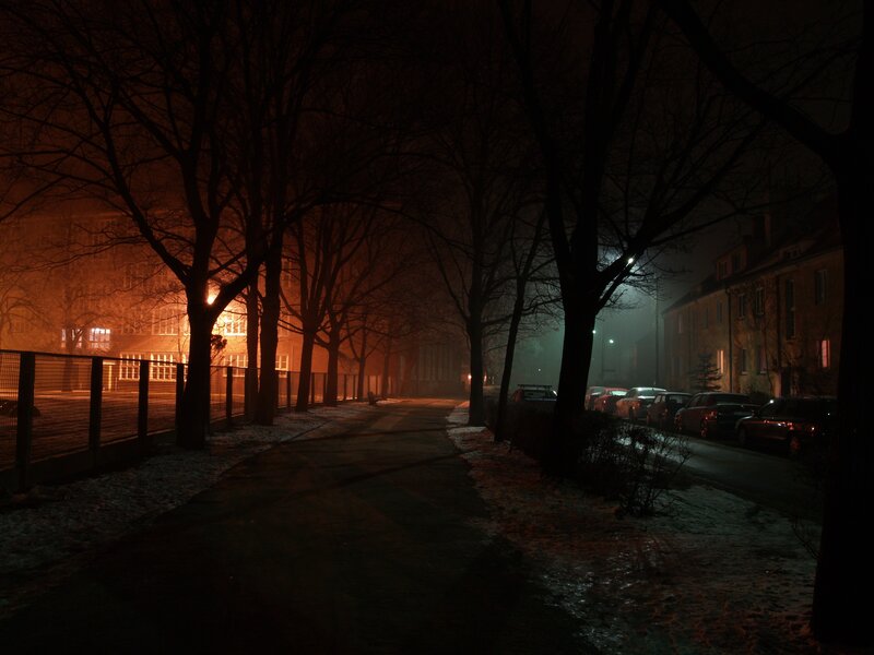 Night street with fog and lights