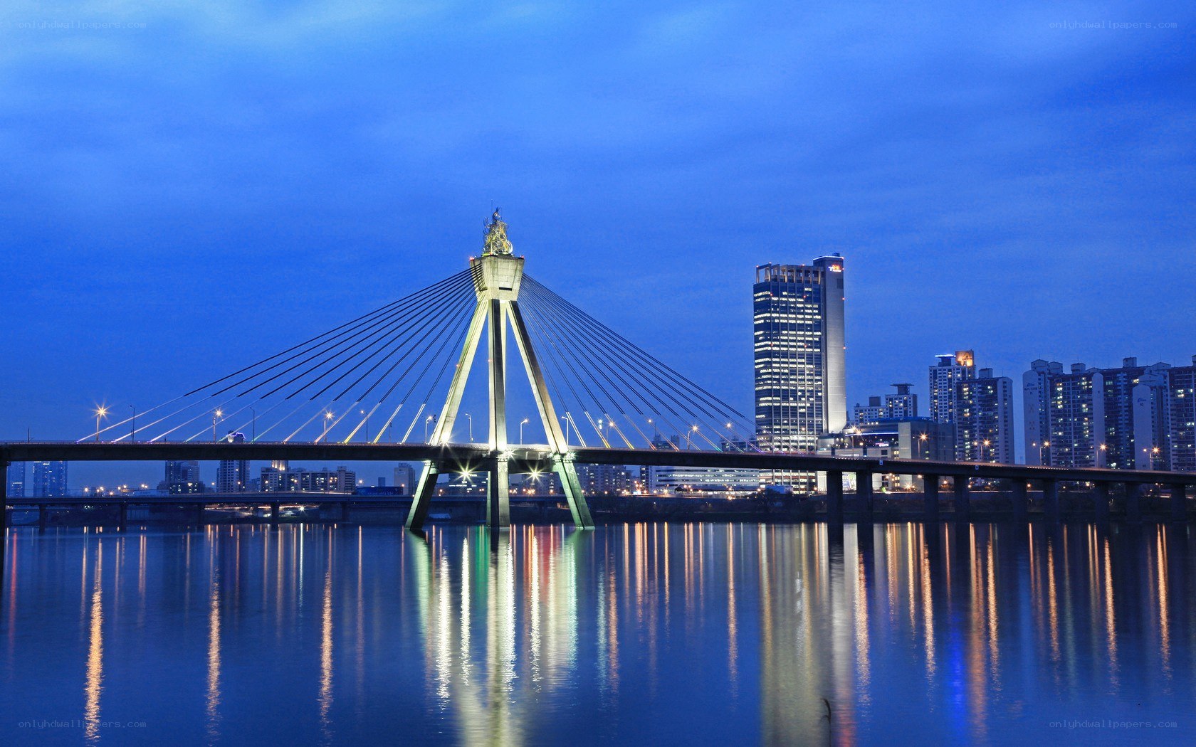 Night view of a cable-stayed bridge