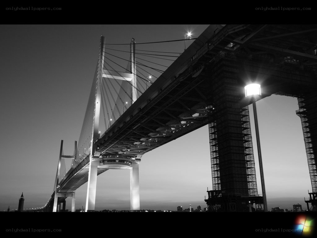 Night view of a cable-stayed bridge