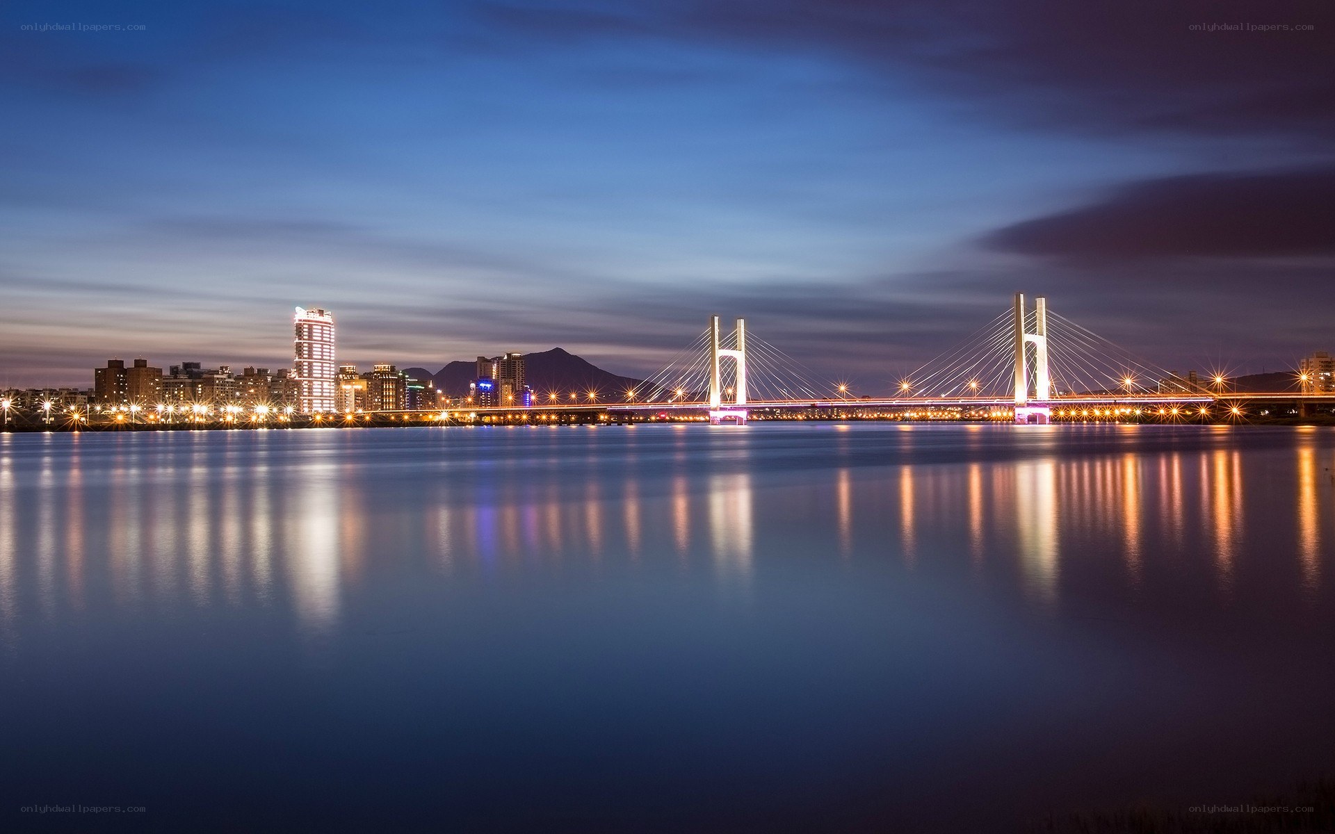 Night view of a cable-stayed bridge