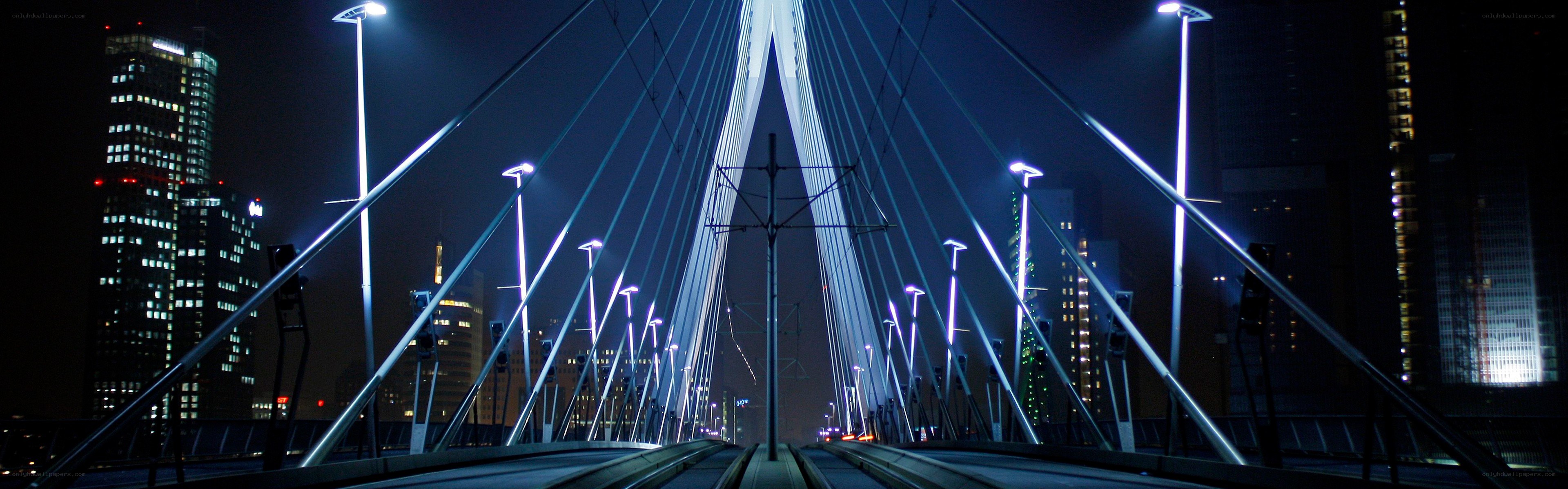 Night view of a cable-stayed bridge