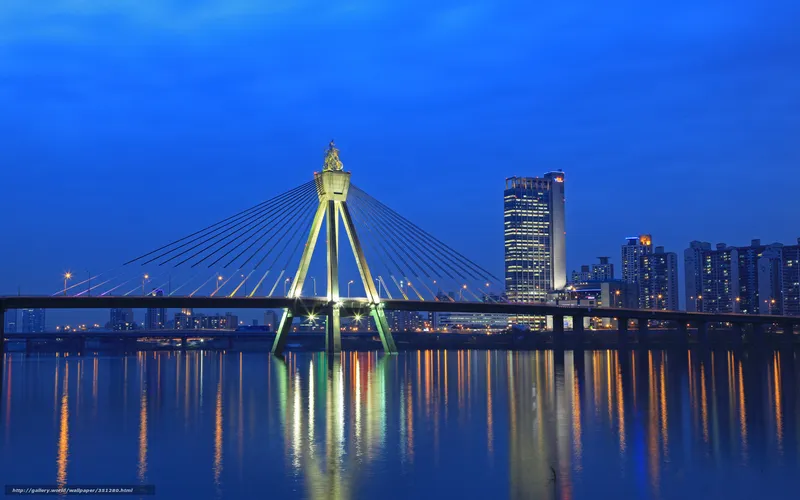 Night view of a cable-stayed bridge